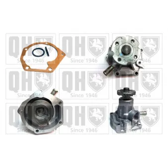 Pompe à eau QUINTON HAZELL QCP1504