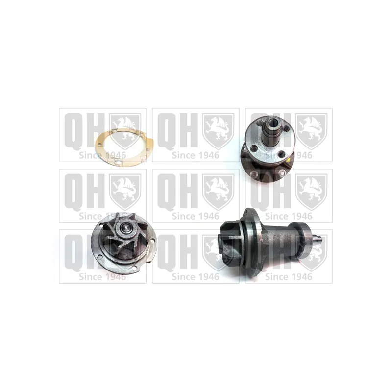 Pompe à eau QUINTON HAZELL QCP1550