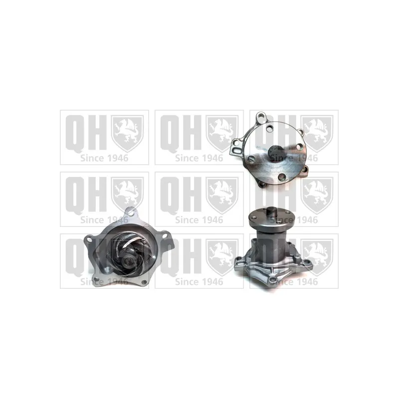 Pompe à eau QUINTON HAZELL QCP2700
