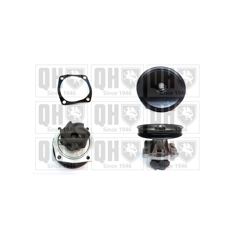 Pompe à eau QUINTON HAZELL QCP3000