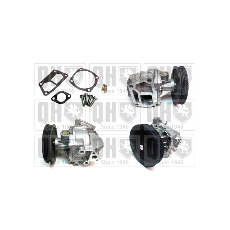 Pompe à eau QUINTON HAZELL QCP3000BH