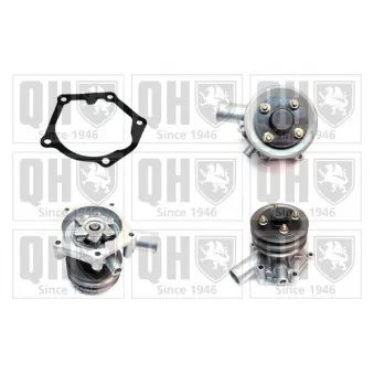Pompe à eau QUINTON HAZELL QCP3035