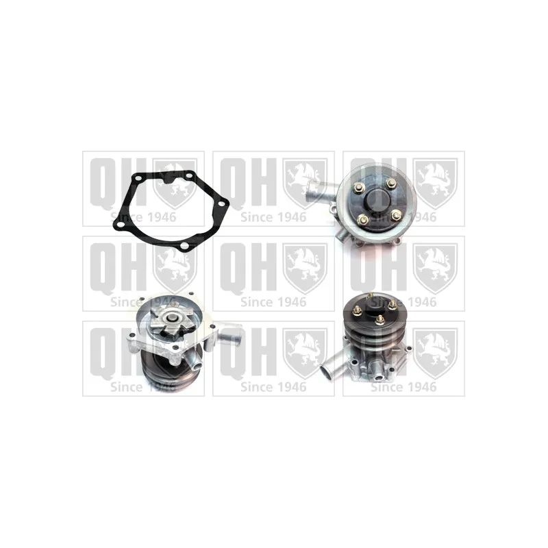 Pompe à eau QUINTON HAZELL QCP3035