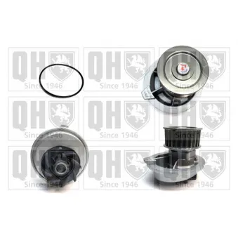 Pompe à eau QUINTON HAZELL QCP3058