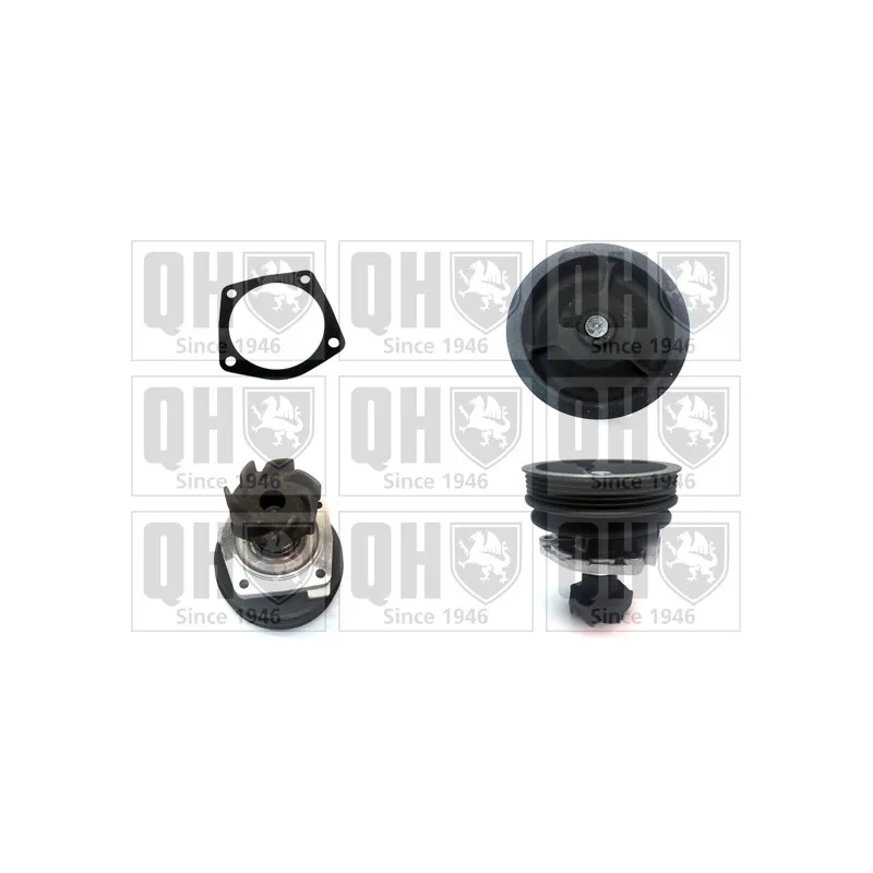 Pompe à eau QUINTON HAZELL QCP3074