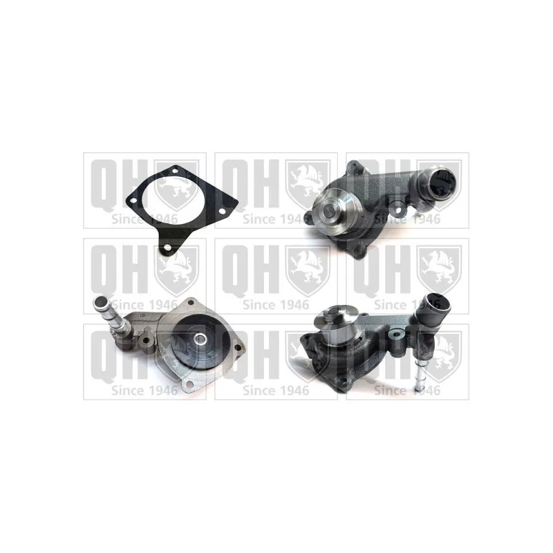 Pompe à eau QUINTON HAZELL QCP3100