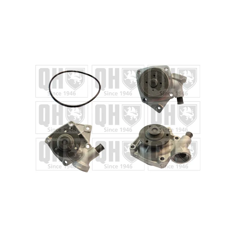 Pompe à eau QUINTON HAZELL QCP3102