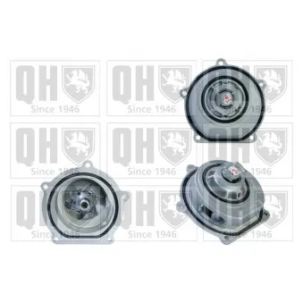 Pompe à eau QUINTON HAZELL QCP3125