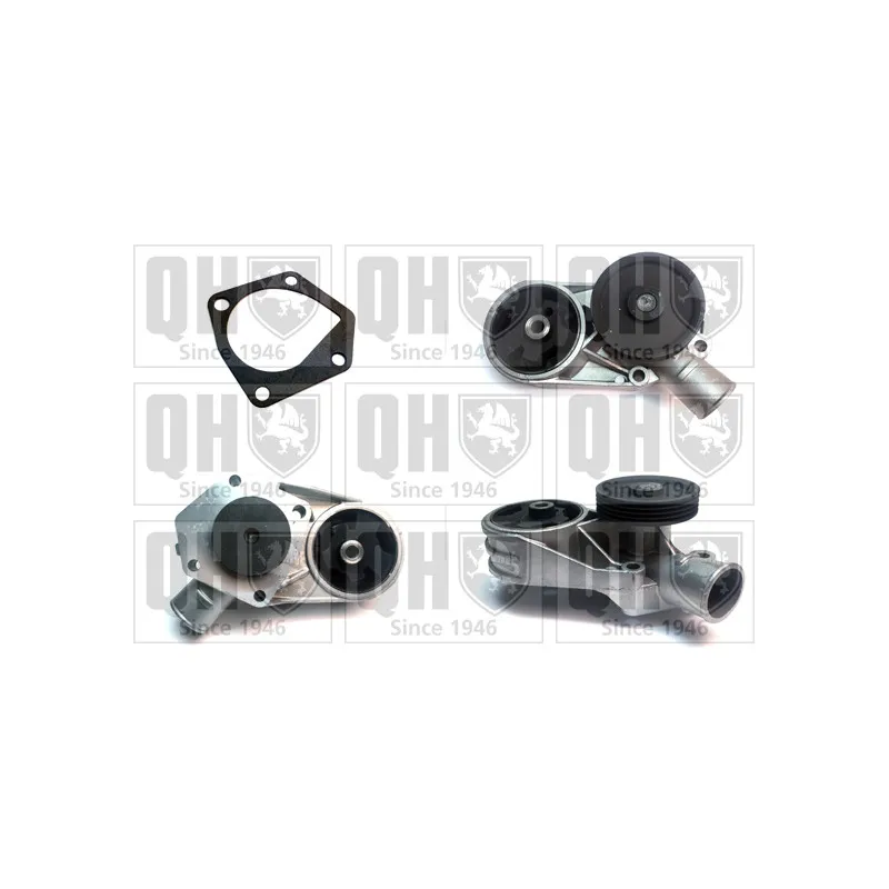 Pompe à eau QUINTON HAZELL QCP3153