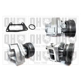 Pompe à eau QUINTON HAZELL QCP3208BH
