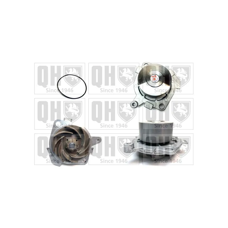 Pompe à eau QUINTON HAZELL QCP3219
