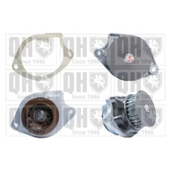 Pompe à eau QUINTON HAZELL QCP3304
