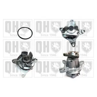 Pompe à eau QUINTON HAZELL QCP3539