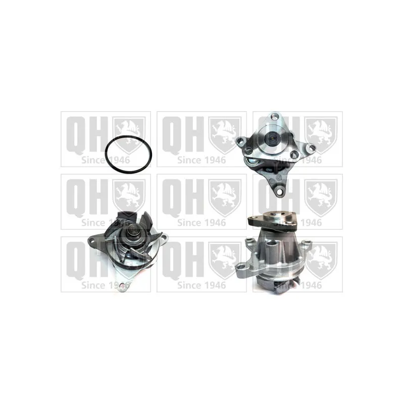 Pompe à eau QUINTON HAZELL QCP3539