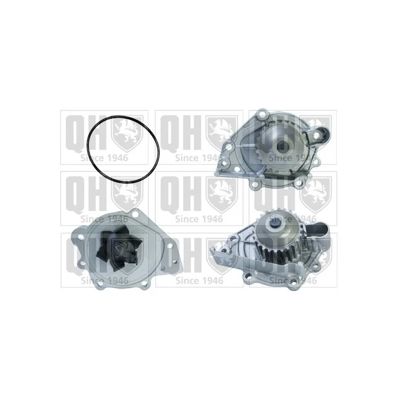 Pompe à eau QUINTON HAZELL QCP3553