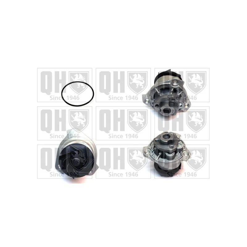 Pompe à eau QUINTON HAZELL QCP3576