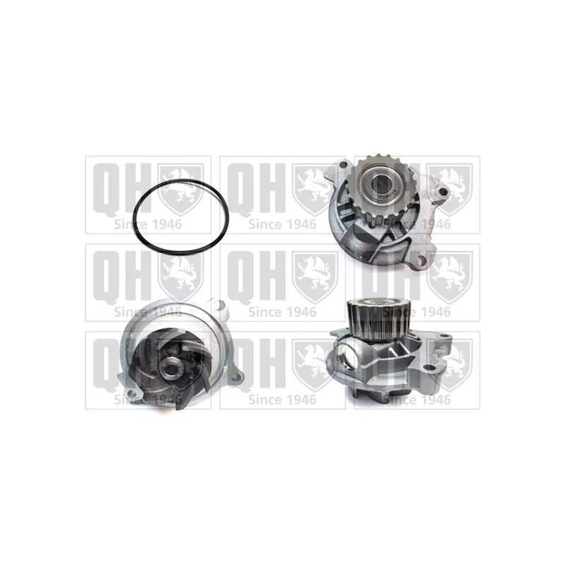 Pompe à eau QUINTON HAZELL QCP3620HP