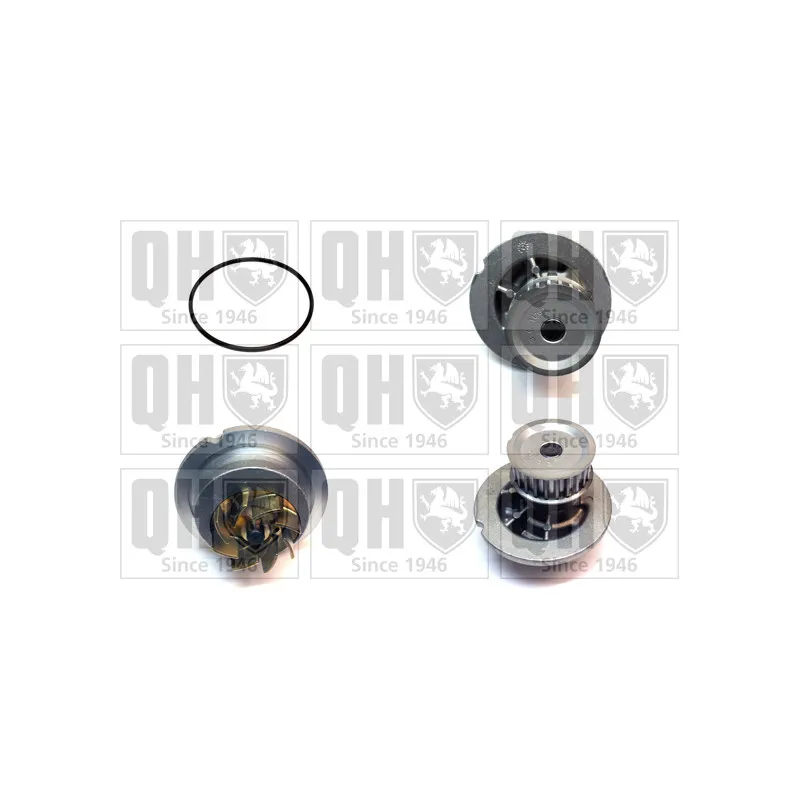 Pompe à eau QUINTON HAZELL QCP3676