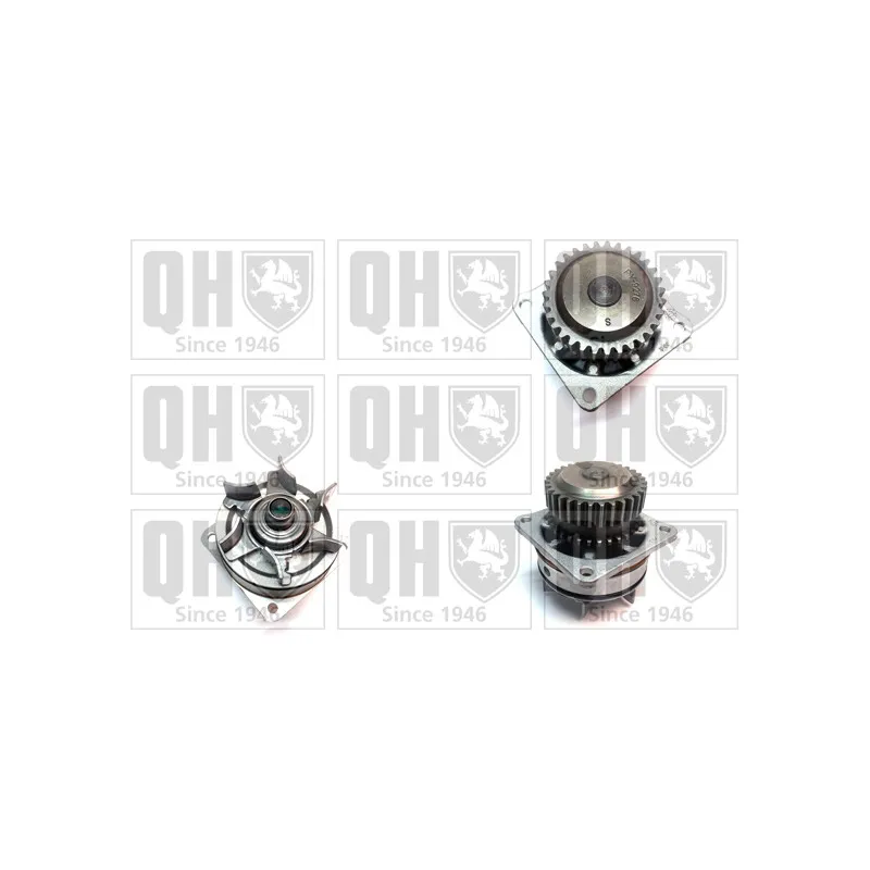 Pompe à eau QUINTON HAZELL QCP3689
