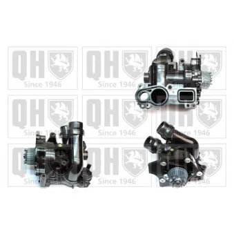 Kit pompe à eau QUINTON HAZELL QCP3719BH