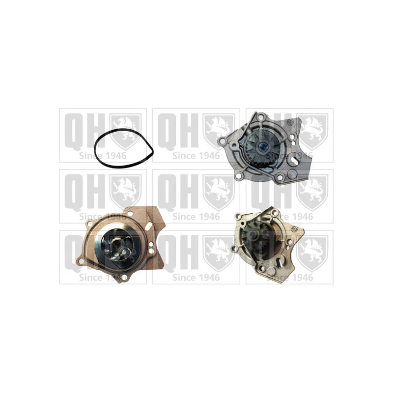 Pompe à eau QUINTON HAZELL QCP3761