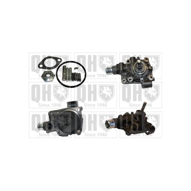 Pompe à eau QUINTON HAZELL QCP3809