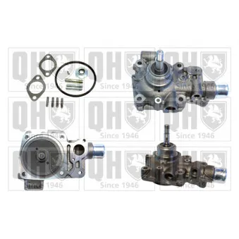 Pompe à eau QUINTON HAZELL QCP3819