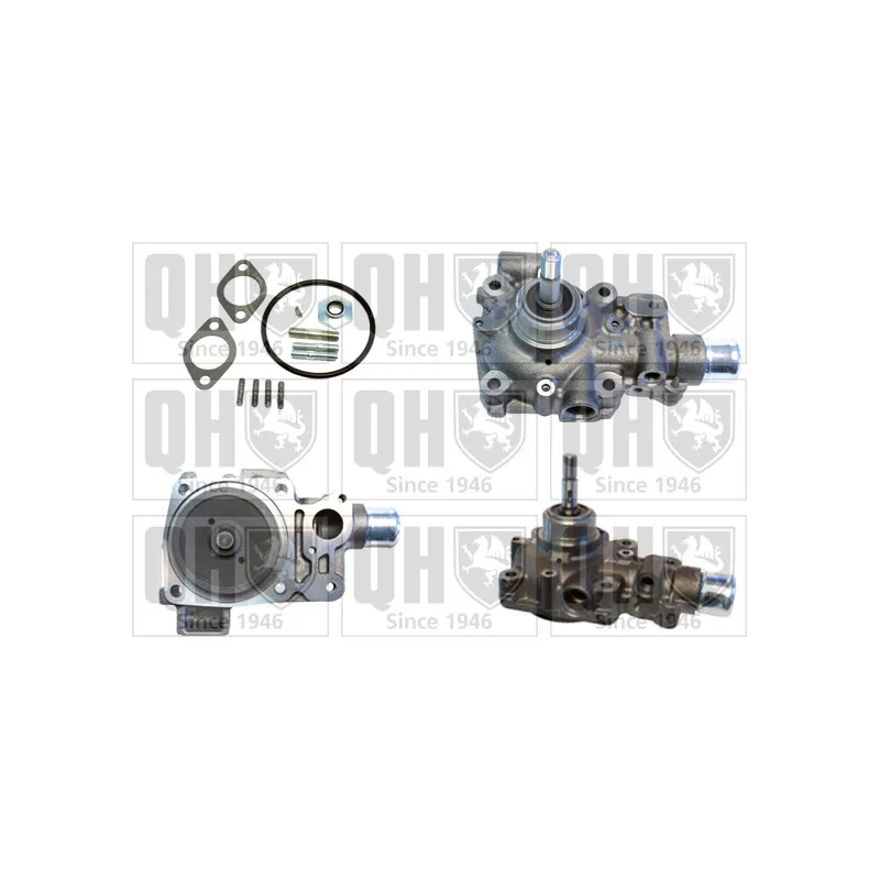 Pompe à eau QUINTON HAZELL QCP3819