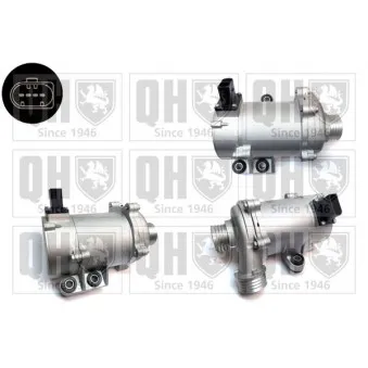 Pompe à eau QUINTON HAZELL QCP3824