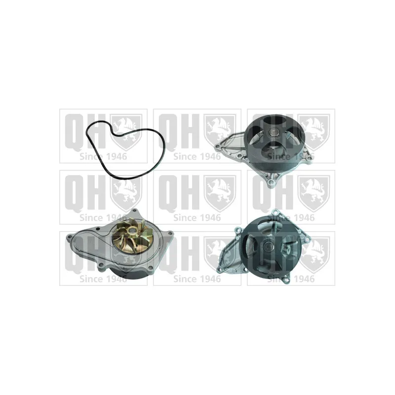 Pompe à eau QUINTON HAZELL QCP3828