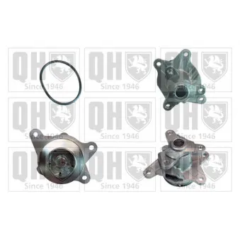 Pompe à eau QUINTON HAZELL QCP3829