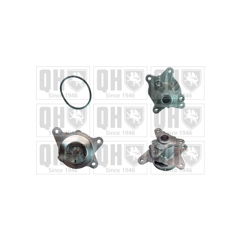 Pompe à eau QUINTON HAZELL QCP3829
