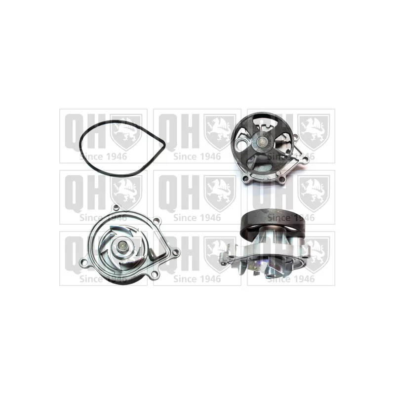 Pompe à eau QUINTON HAZELL QCP3842