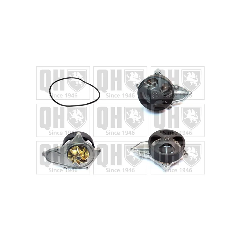 Pompe à eau QUINTON HAZELL QCP3843