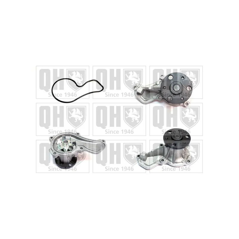 Pompe à eau QUINTON HAZELL QCP3850