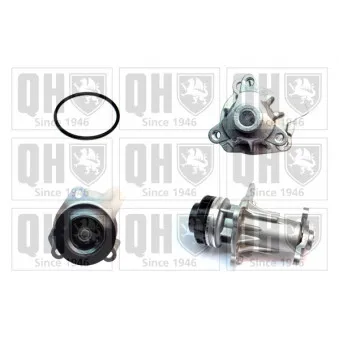 Pompe à eau QUINTON HAZELL QCP3862