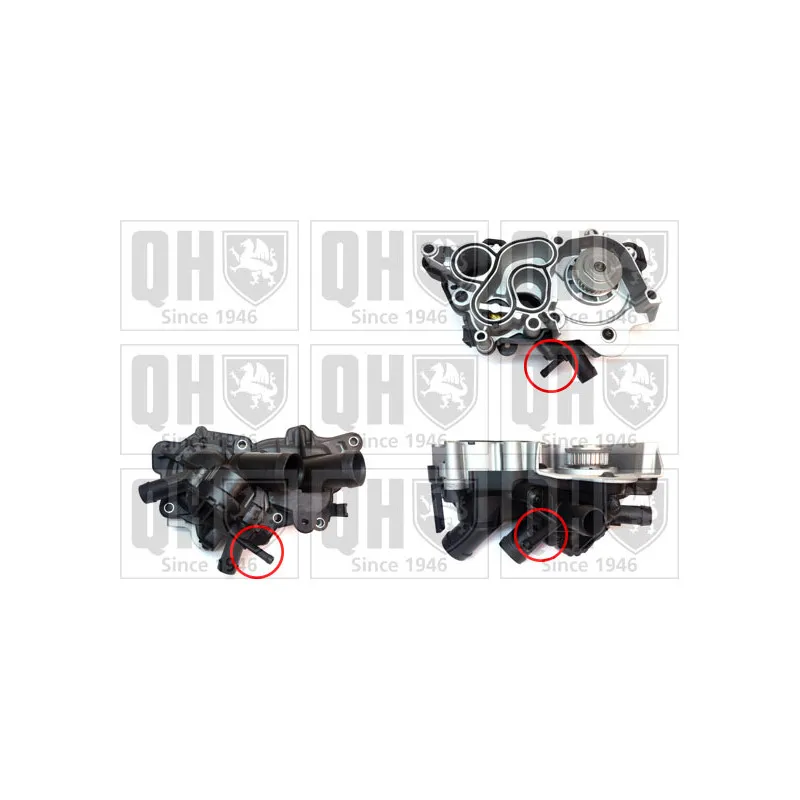 Pompe à eau QUINTON HAZELL QCP3863BH2