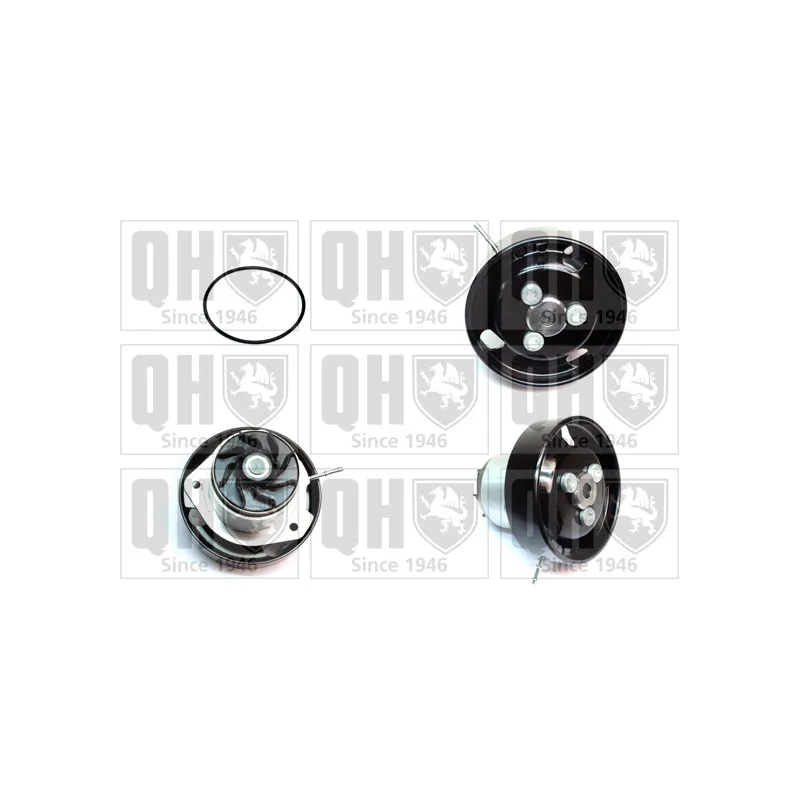 Pompe à eau QUINTON HAZELL QCP3864