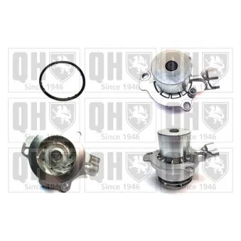 Pompe à eau QUINTON HAZELL QCP3876DP