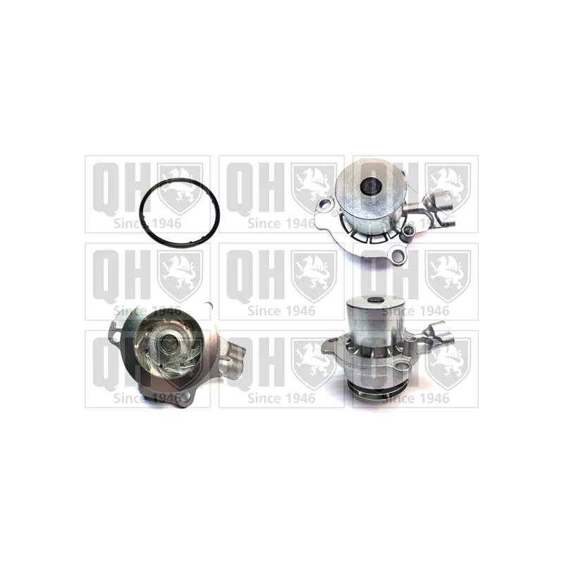 Pompe à eau QUINTON HAZELL QCP3876DP