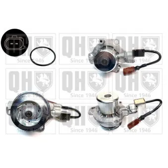 Pompe à eau QUINTON HAZELL QCP3876DPS