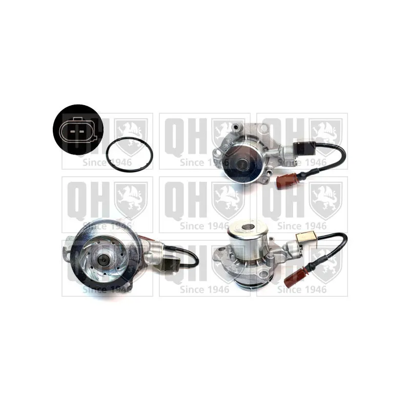 Pompe à eau QUINTON HAZELL QCP3876DPS
