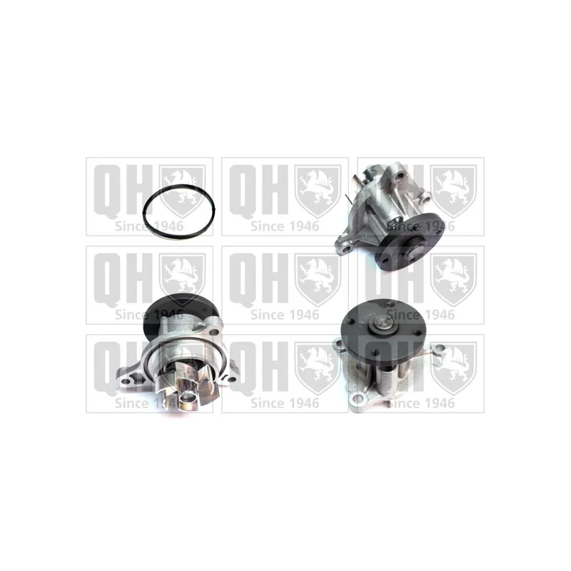 Pompe à eau QUINTON HAZELL QCP3890