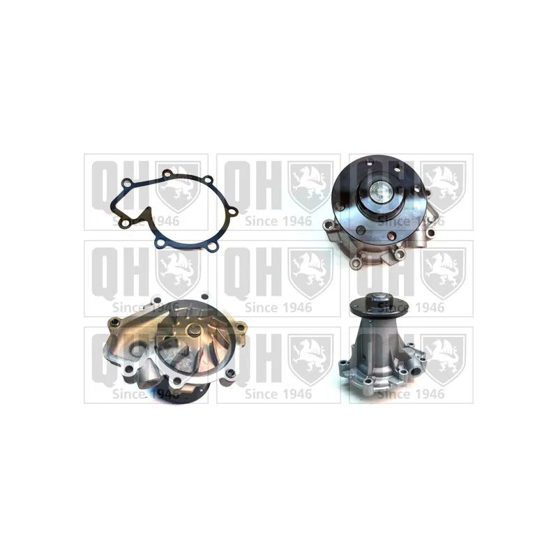 Pompe à eau QUINTON HAZELL QCP3891
