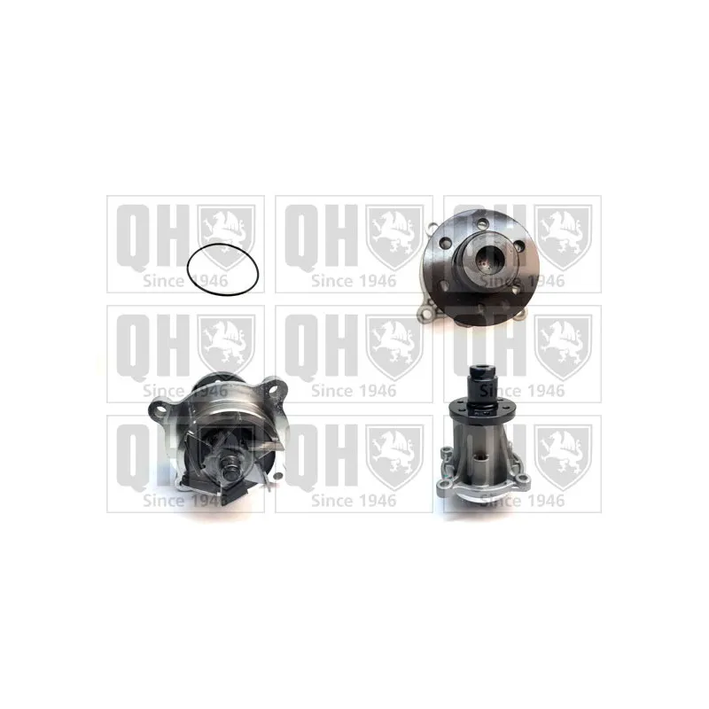 Pompe à eau QUINTON HAZELL QCP3899
