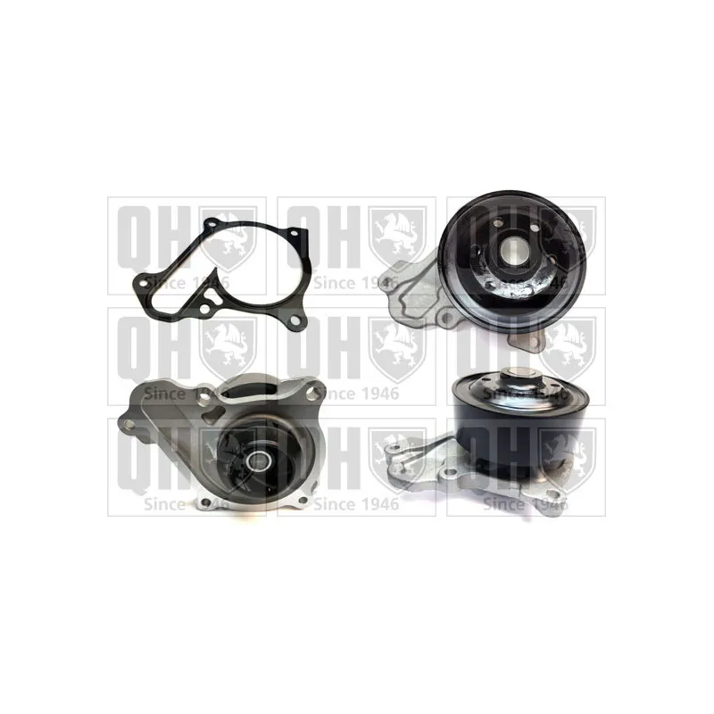 Pompe à eau QUINTON HAZELL QCP3919
