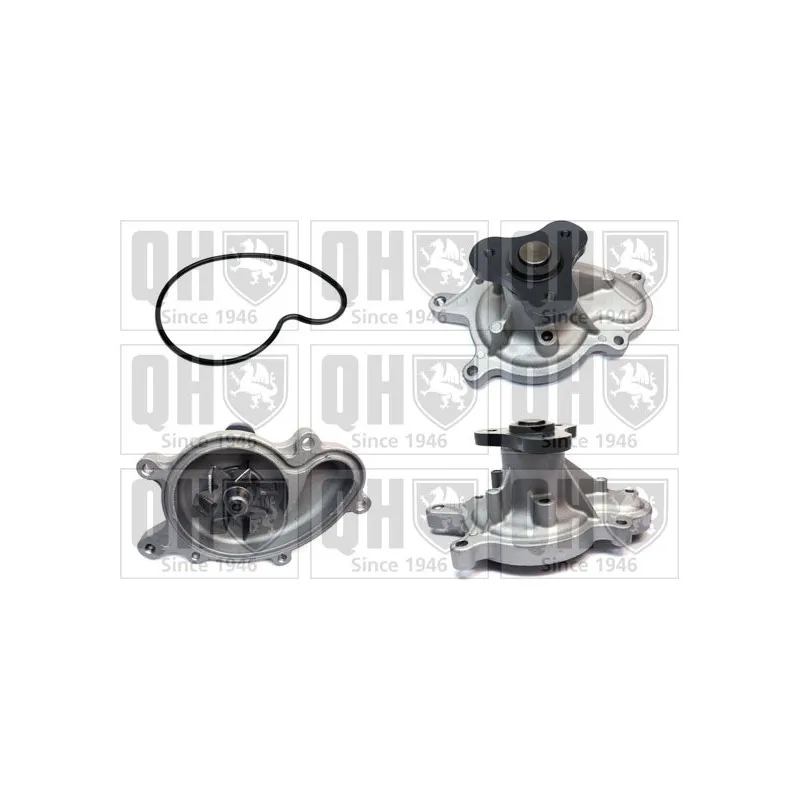 Pompe à eau QUINTON HAZELL QCP3930