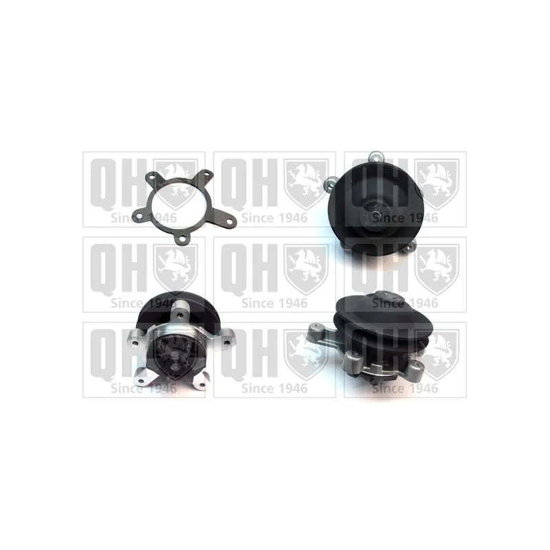 Pompe à eau QUINTON HAZELL QCP538