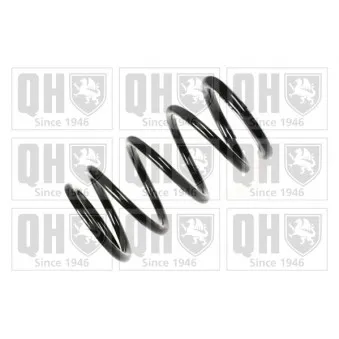 Ressort de suspension QUINTON HAZELL QCS5041