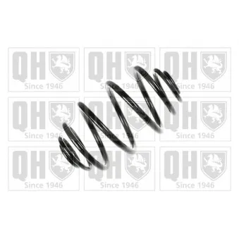 Ressort de suspension QUINTON HAZELL